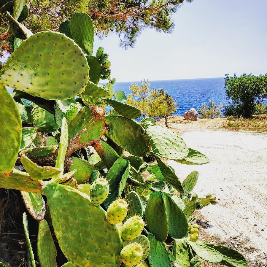 Euphoria - South Crete Villas Achlia Exterior foto